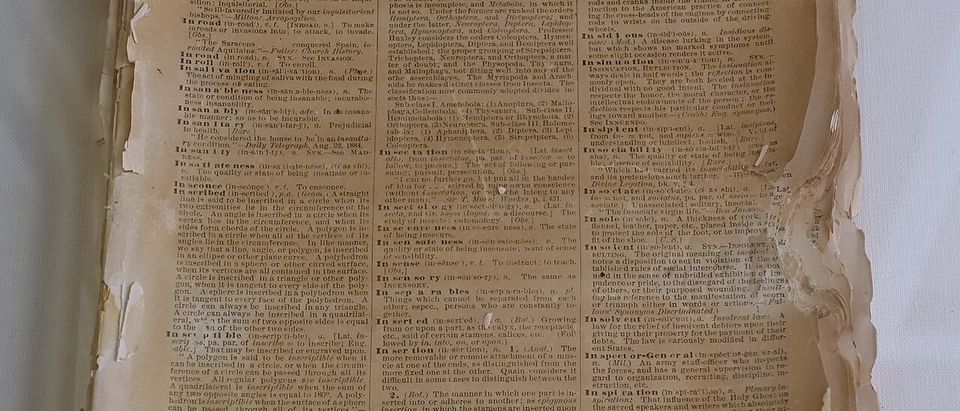Pages of a Webster’s dictionary